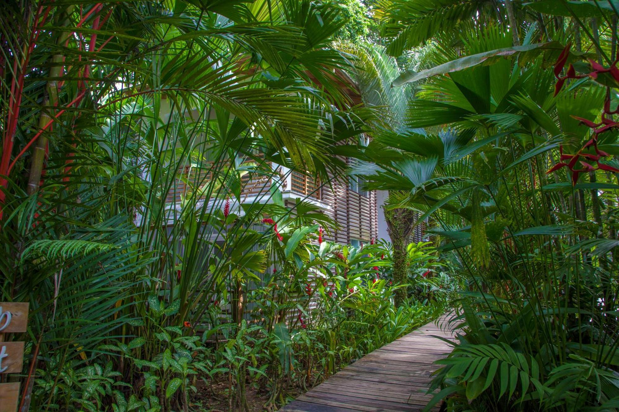 Le Cameleon Boutique Hotel Puerto Viejo de Talamanca Extérieur photo