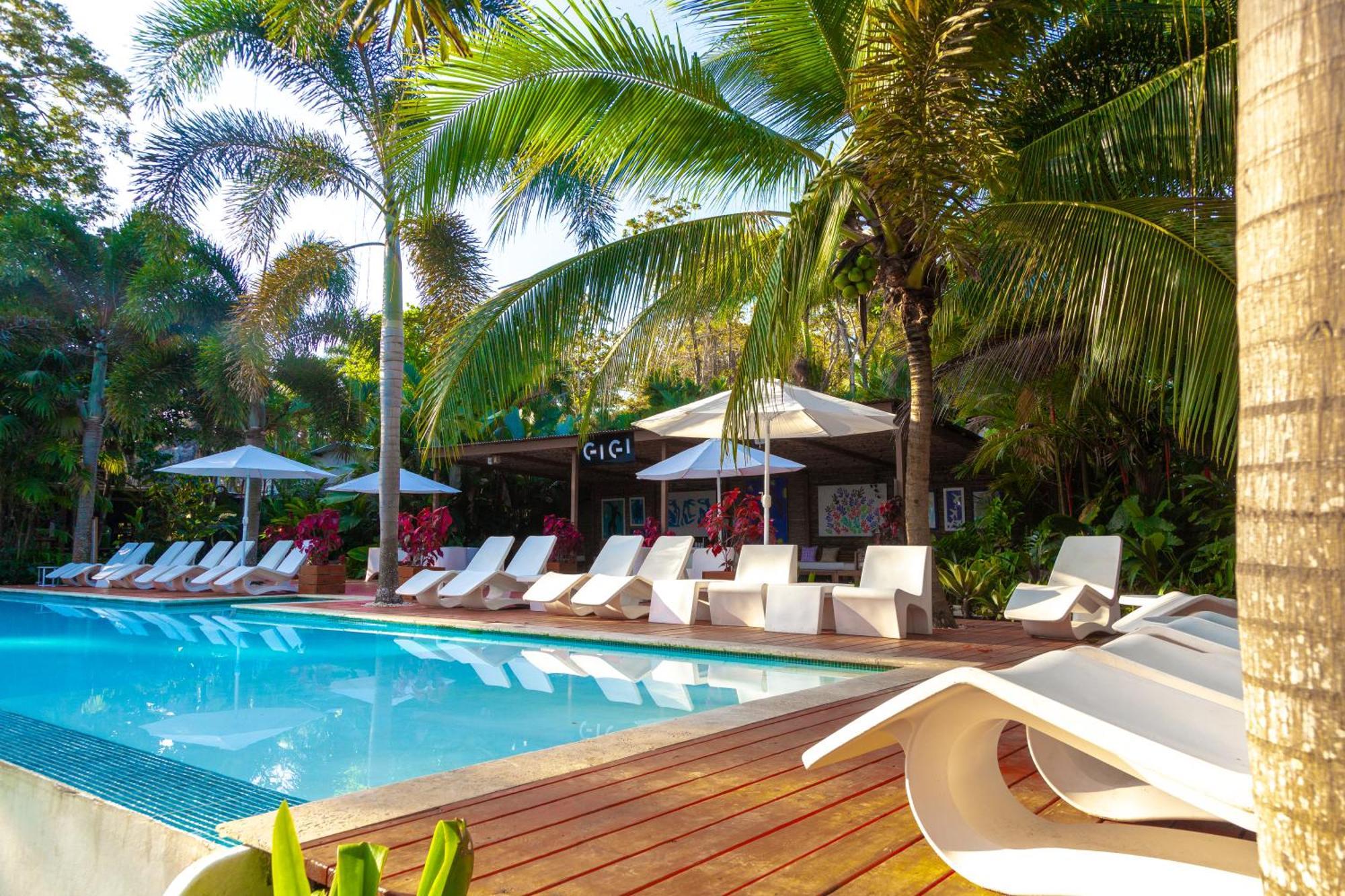 Le Cameleon Boutique Hotel Puerto Viejo de Talamanca Extérieur photo