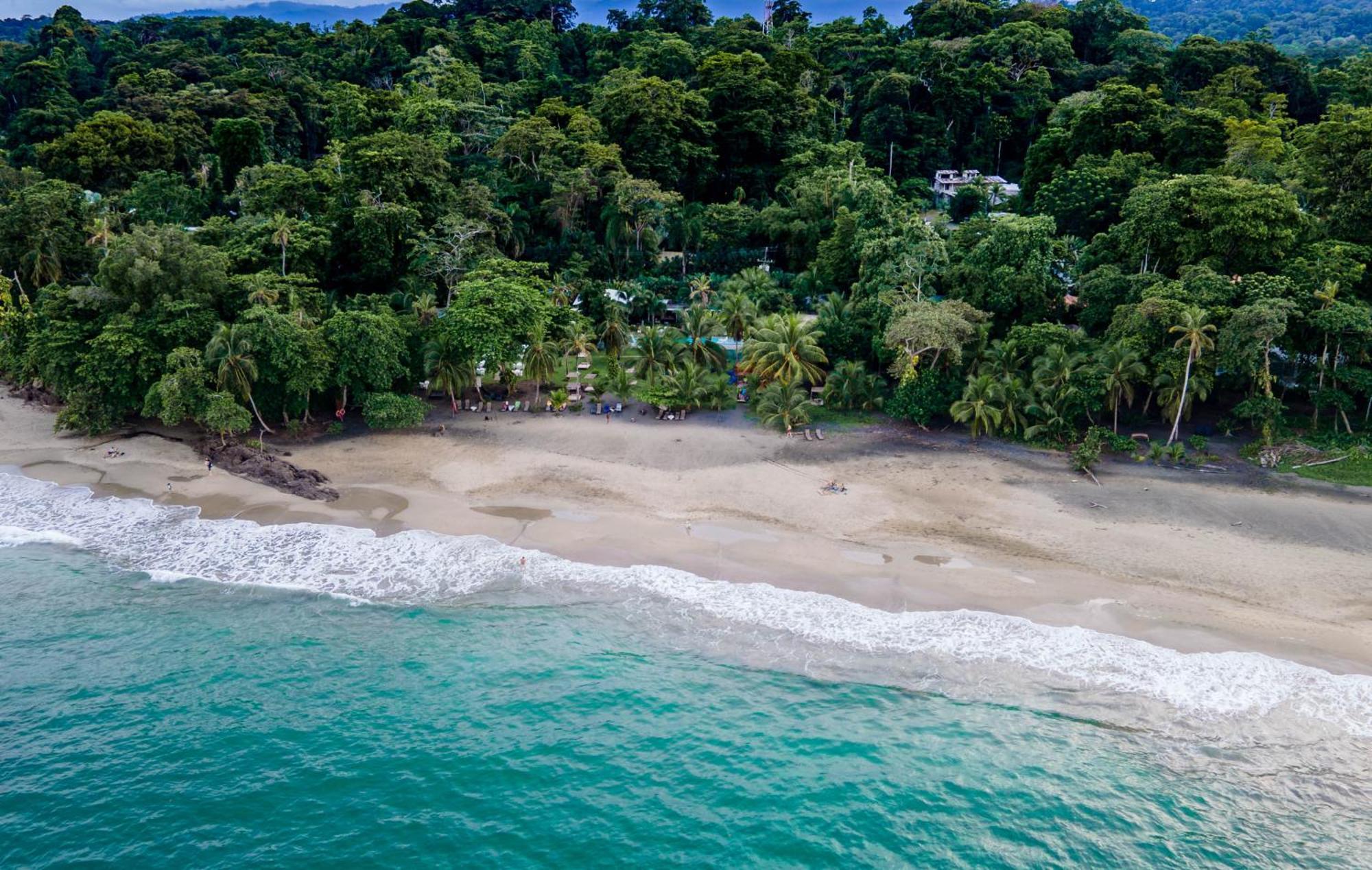 Le Cameleon Boutique Hotel Puerto Viejo de Talamanca Extérieur photo
